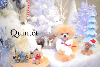 Quintet9