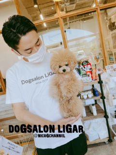 Dogsalon LiGAR4/281