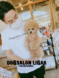 Dogsalon LiGAR4/273