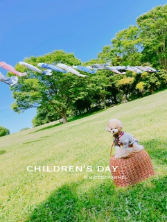 kchildren's day