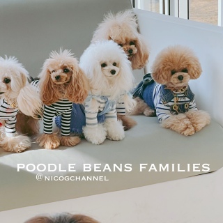 ̃jRWpoodle beans families