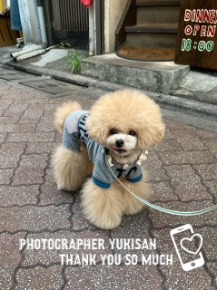 photographer:Yukisan thank U