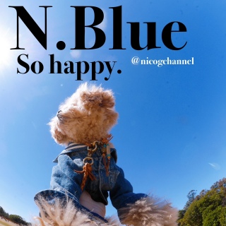 N BlueB