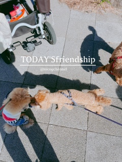 TODAY'Sfriendship