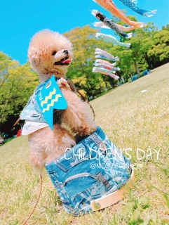 Children's Dayē悤Ȏʐ^܂c