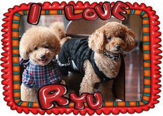 IloveRyu�@11/8 �X�V�I