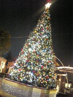 SCTree�_��
