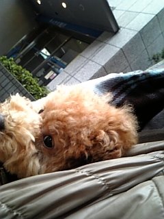 eVオu