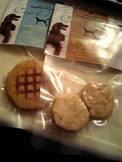 リュウご飯