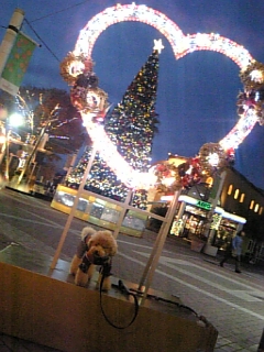 SCC~