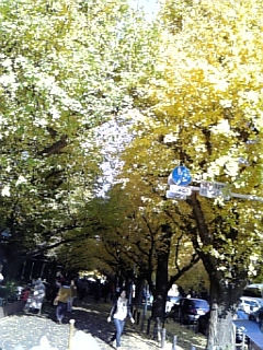 �C�G���[�V�����[���тė��܂��I