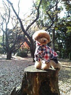 90�Z���`���炢���鍂��