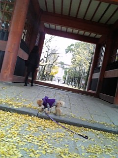 �����E�e�B���n��