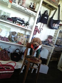 PUERTO�T�����C
