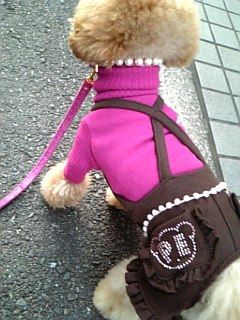 ���������E�e�B����