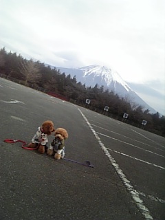 Mt.FUJI