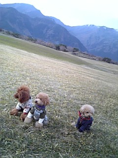 ����[���[Photo