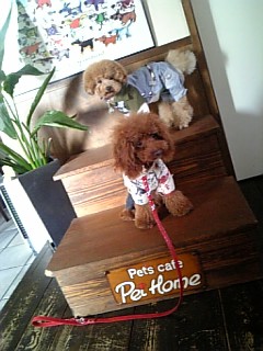 PeiHome