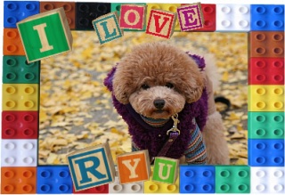 IloveRyu�@12/11 �X�V�I