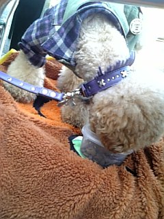 �����E���O����!?