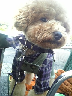 ���͋C�������[�ˁ�