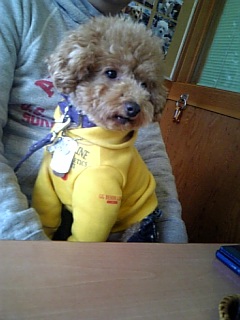 �����̃����E�e�B����