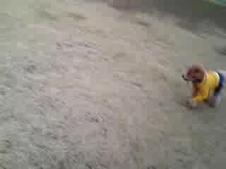 11�����̃��C�g����