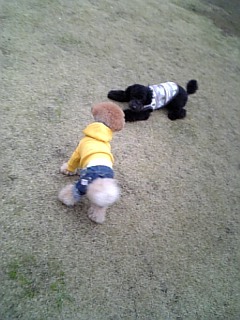 �����E�̍��v�[�D���͖{��!?