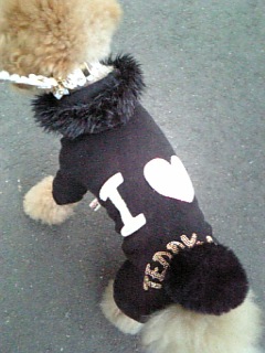 �����̃����E�e�B����