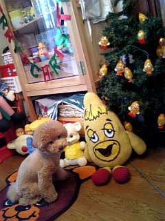 �����E����