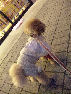 �摜Size�ύX