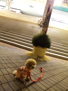 �叼�ƁB