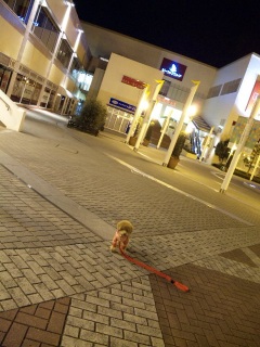 �N�����Ȃ��ˁ[