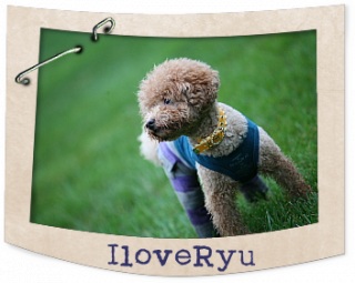 IloveRyu�@1/7 �X�V�I