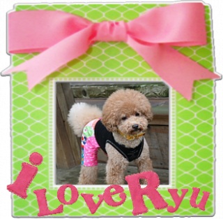 IloveRyu�@1/16 �X�V�I