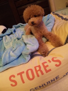 ��������STORES
