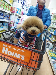 HOME'S