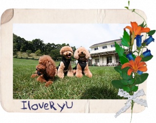 IloveRyu�@1/18 �X�V�I