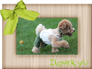 IloveRyu�@1/25 �X�V�I