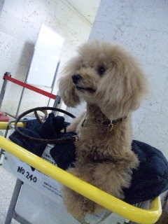 �ߔe��`�����A