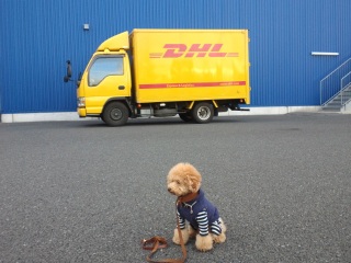 DHL