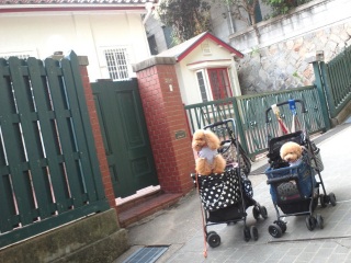 ��������