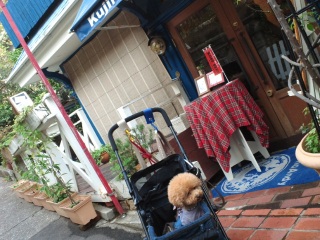 �������X