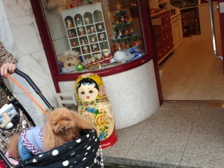 �}�g�����[�V�J�̂��X