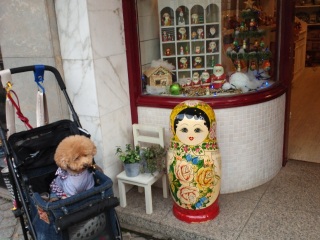 �����E�e�B�����}�g�����[�V�J�Ɓ�