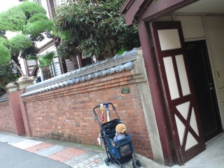 �܂������K