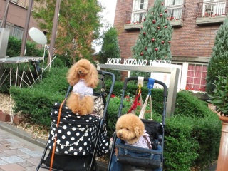 �����z�e��