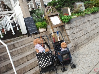 �X�e�L���Ocafe