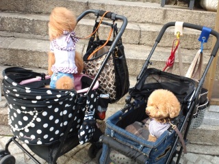 ���������X�e�L���O