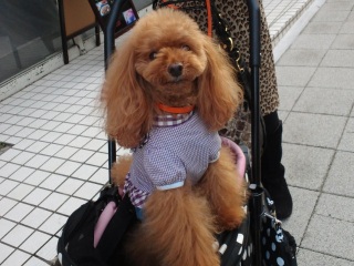 �}�����������Q�L�V��